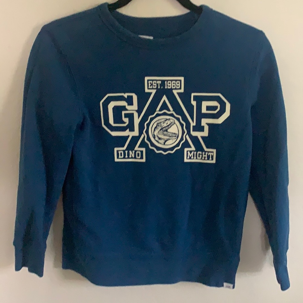 Boys GAP sweater